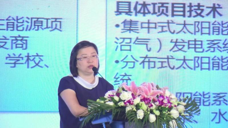 彭凌:深耕綠色金融能效市場,助力全球氣候治理